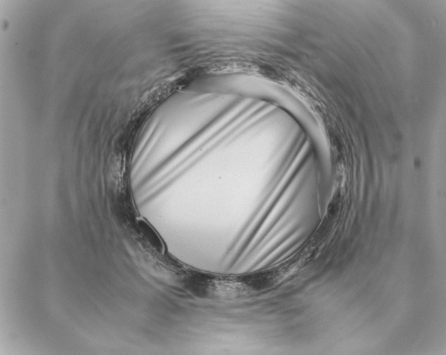 X0000088600605200706151803