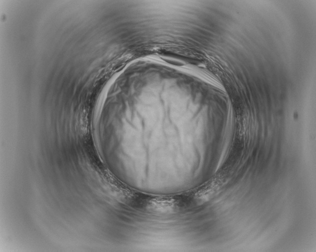 X0000088600606200706151803