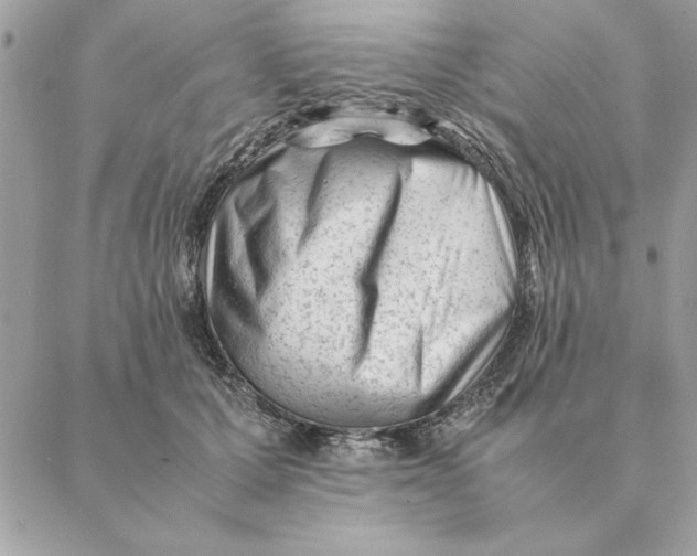 X0000088600607200706151803