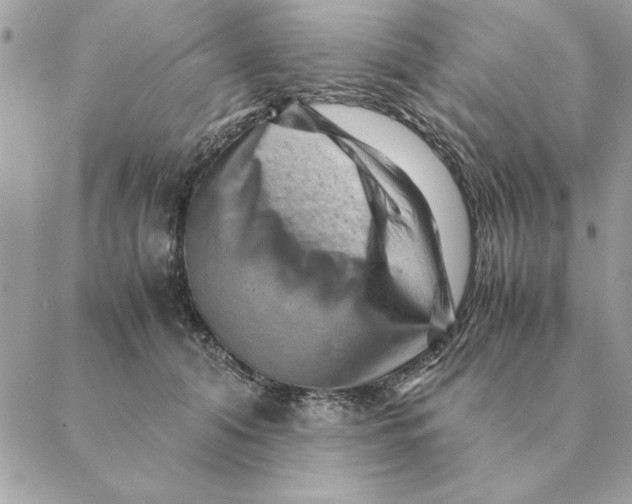 X0000088600608200706151803