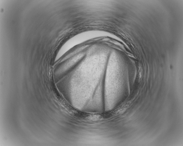 X0000088600609200706151803