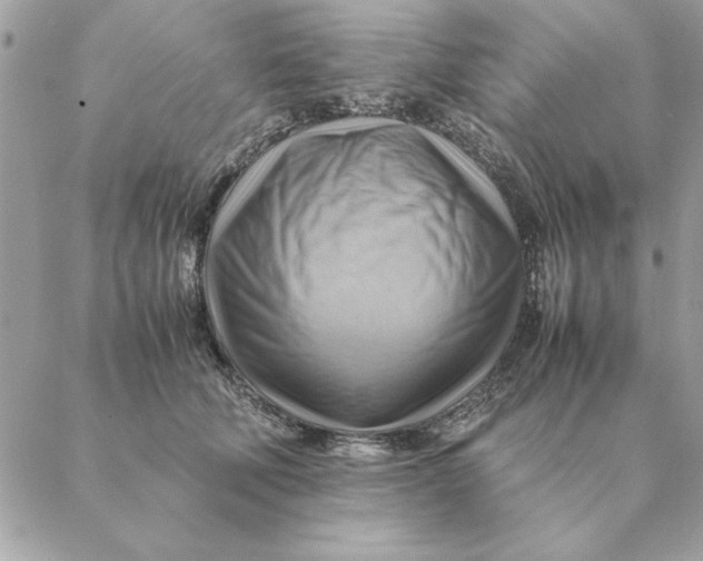 X0000088600610200706151803