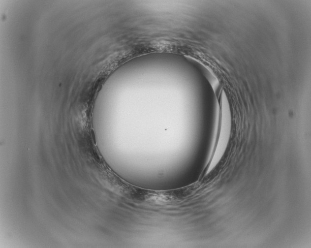 X0000088600611200706151803