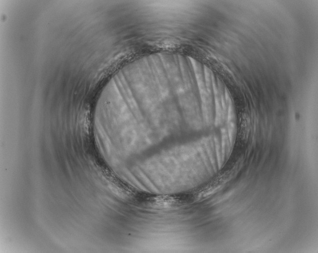 X0000088600612200706151803