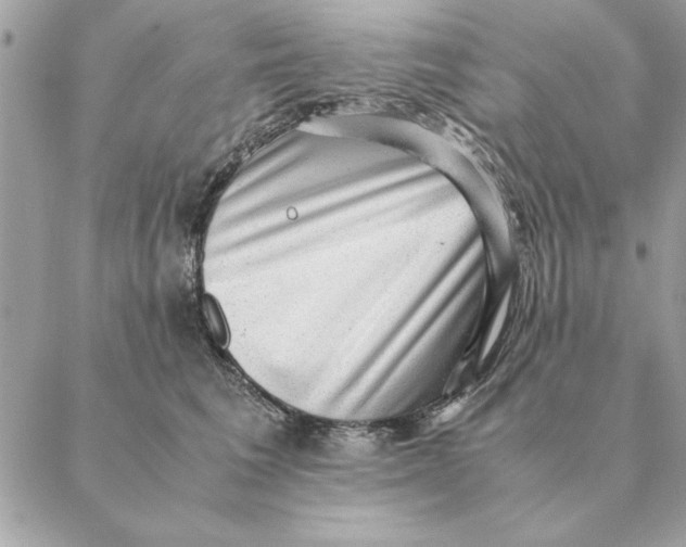 X0000088600613200706151803