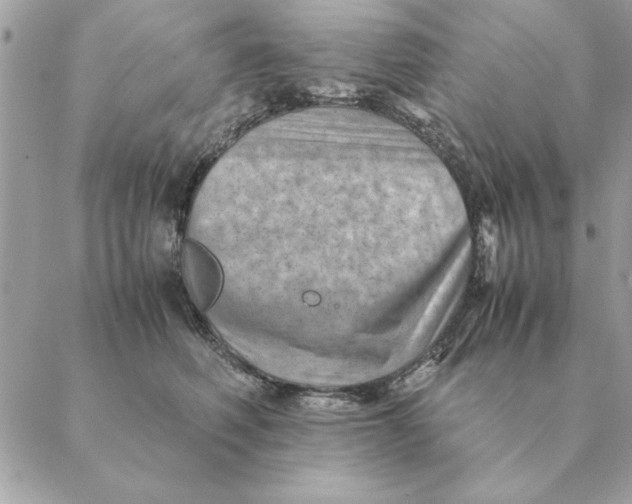 X0000088600614200706151803