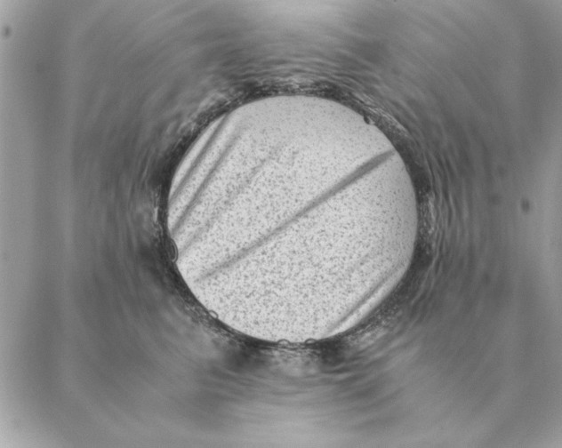 X0000088600615200706151803