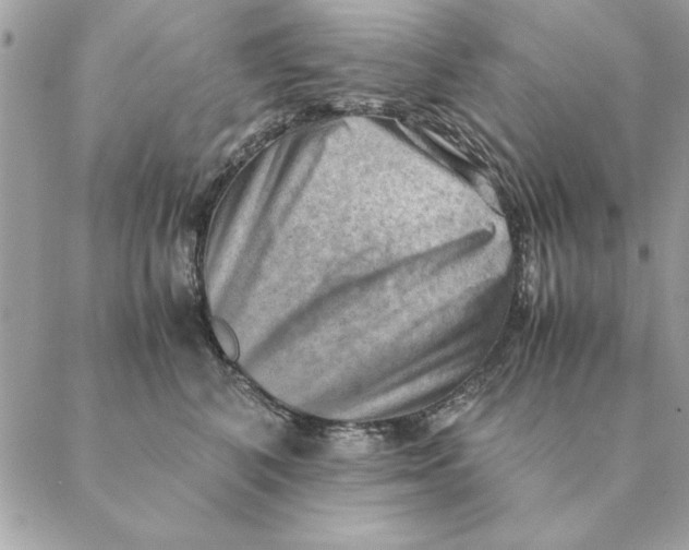 X0000088600616200706151803