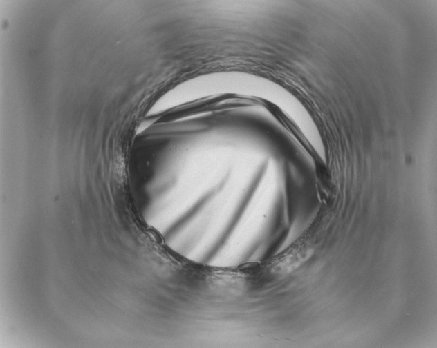 X0000088600617200706151803