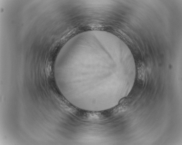 X0000088600618200706151803