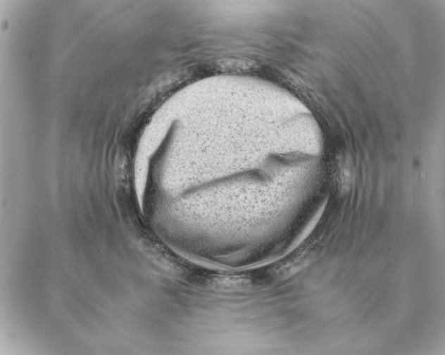 X0000088600619200706151803