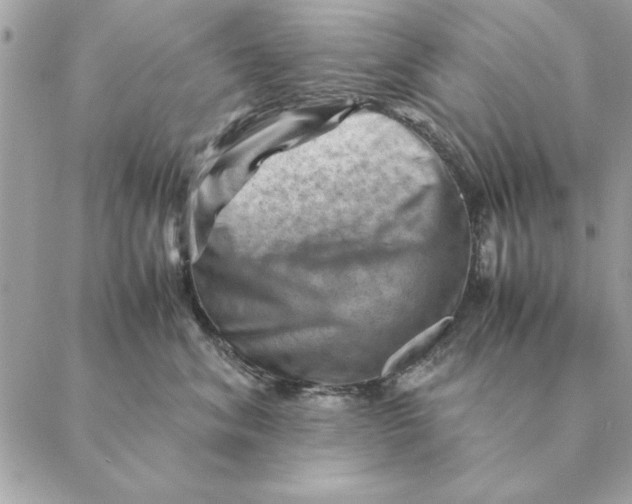 X0000088600620200706151803