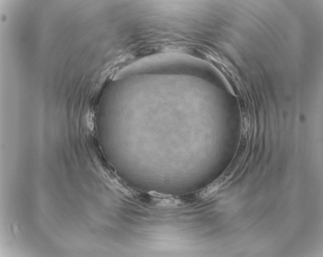 X0000088600621200706151803