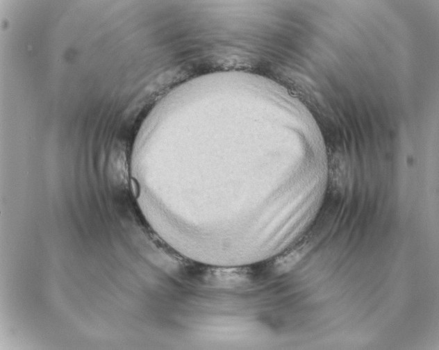 X0000088600622200706151803