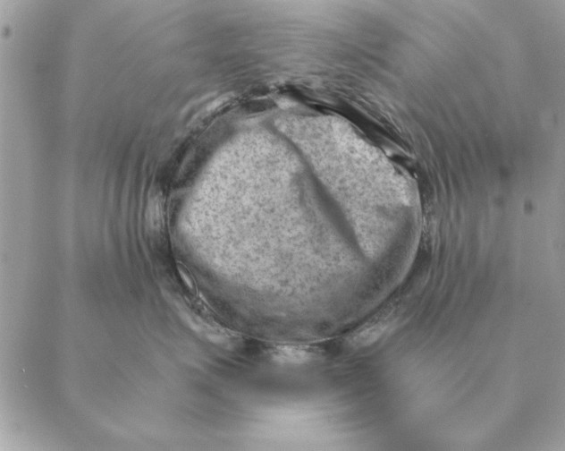 X0000088600623200706151803