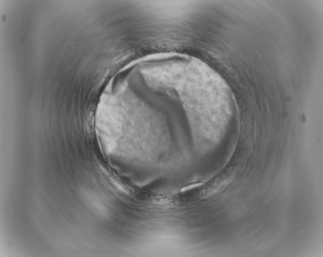 X0000088600624200706151803