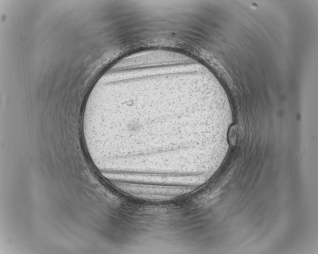 X0000088600625200706151802