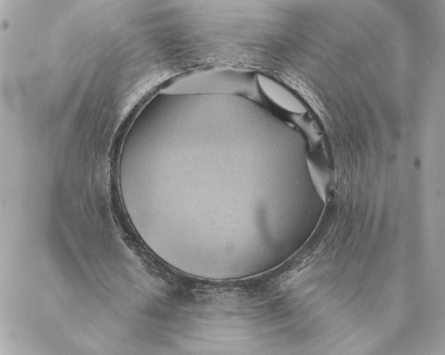 X0000088600626200706151802