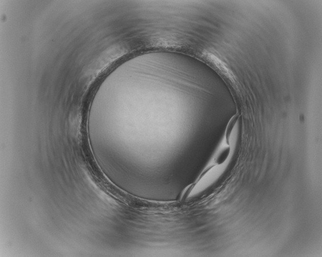 X0000088600627200706151802