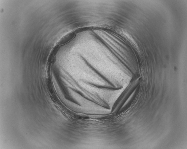 X0000088600628200706151802