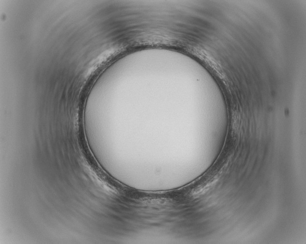 X0000088600629200706151802