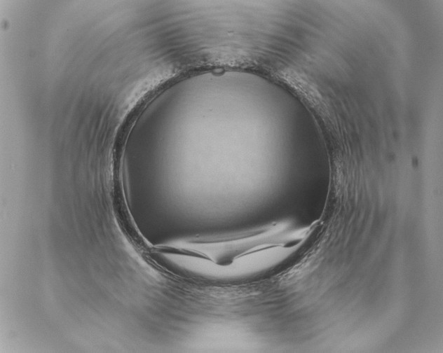 X0000088600630200706151802