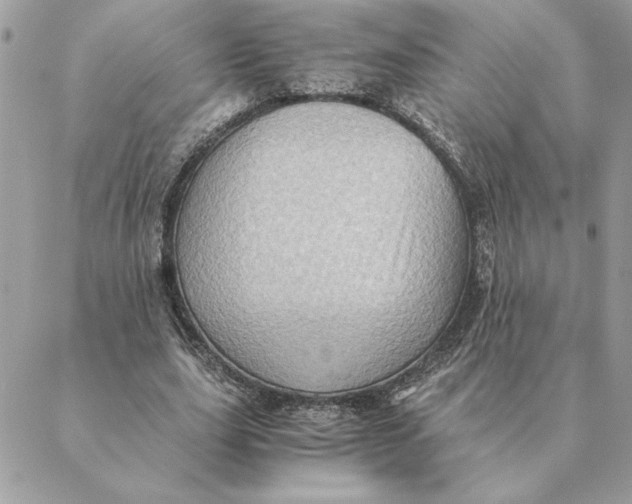 X0000088600631200706151802