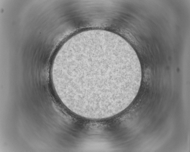 X0000088600632200706151802