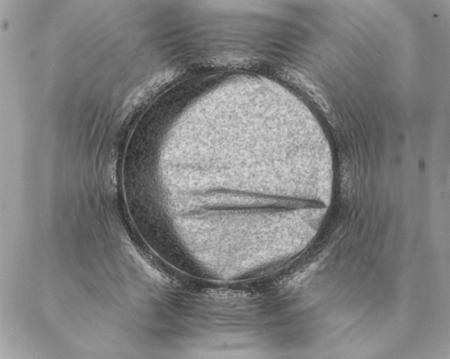 X0000088600633200706151802