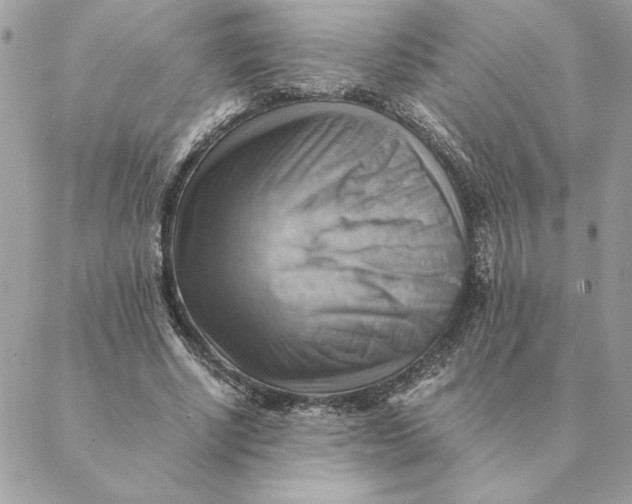 X0000088600634200706151802