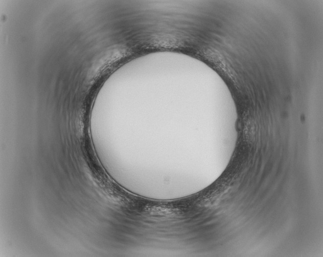 X0000088600635200706151802