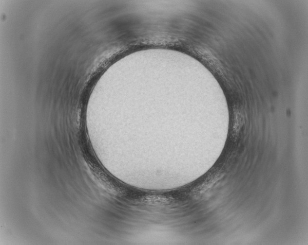 X0000088600636200706151802