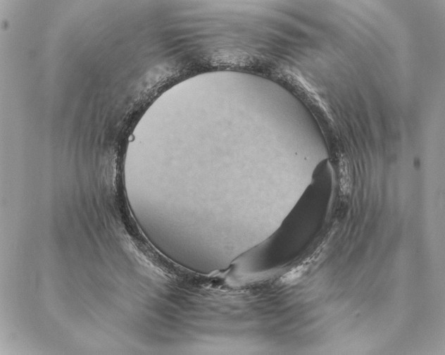 X0000088600637200706151802