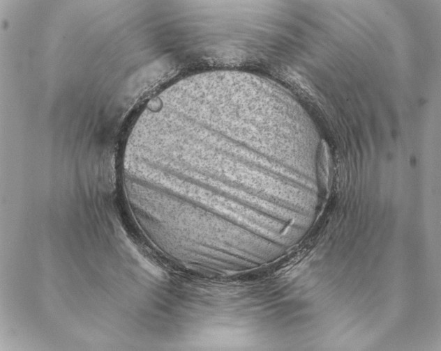 X0000088600638200706151802