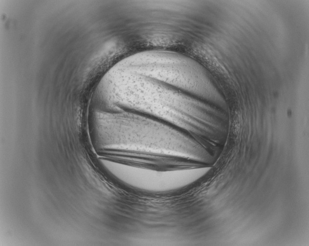 X0000088600639200706151802