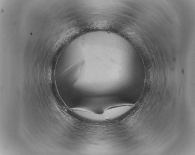 X0000088600640200706151802