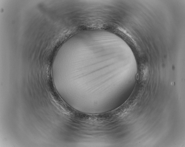 X0000088600641200706151802