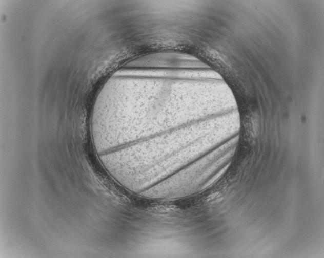 X0000088600642200706151802