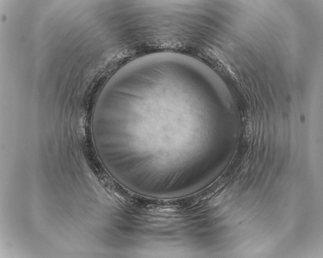 X0000088600643200706151802