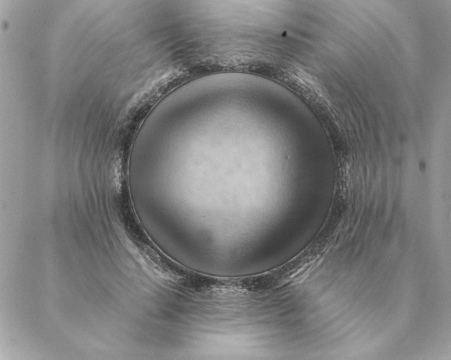 X0000088600644200706151802