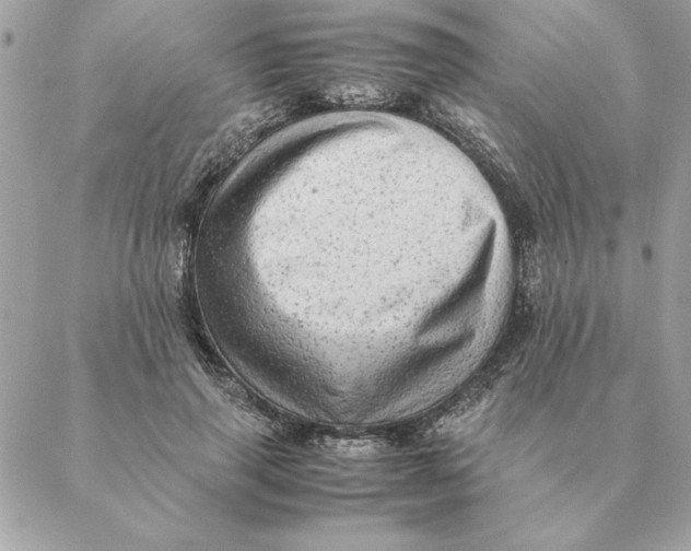 X0000088600645200706151802