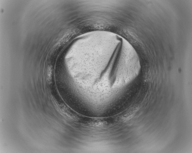 X0000088600646200706151802