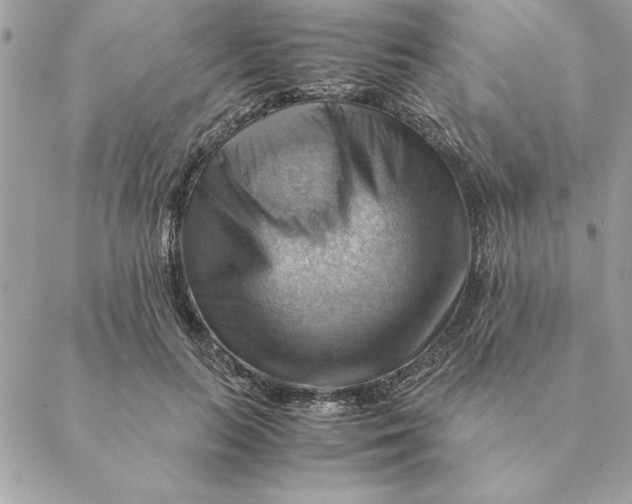 X0000088600647200706151802