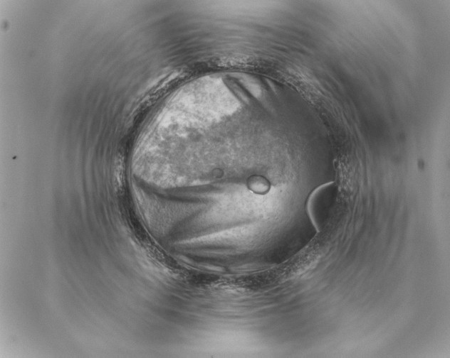 X0000088600648200706151802