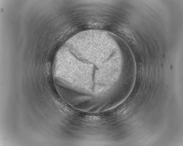 X0000088600649200706151802