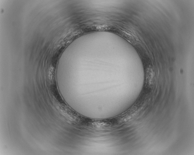 X0000088600650200706151802