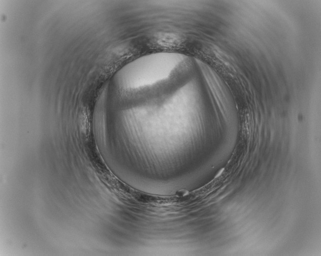 X0000088600651200706151802