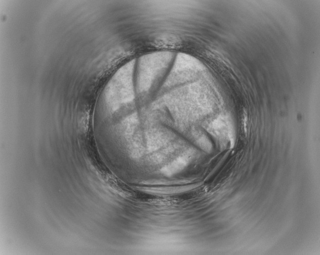 X0000088600652200706151802