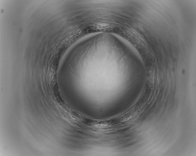 X0000088600653200706151802