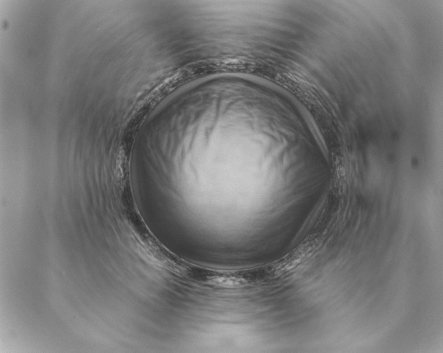 X0000088600654200706151802